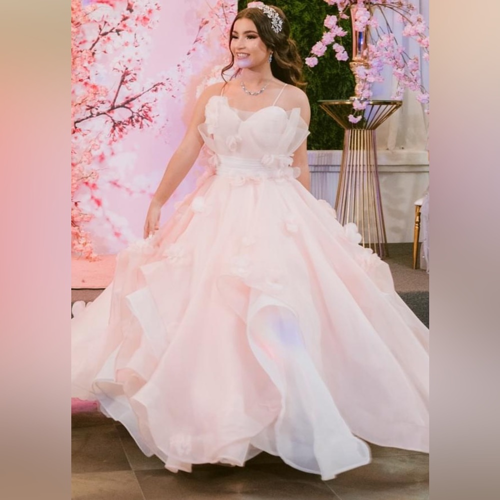 Terani Couture used Dress blush pink size 4